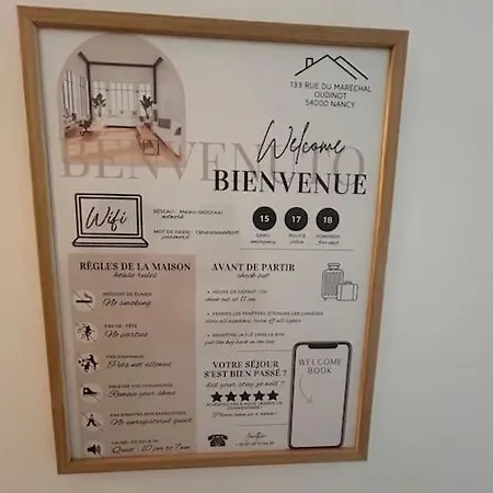 La Secrete Et Son Abrite Apartment Nancy