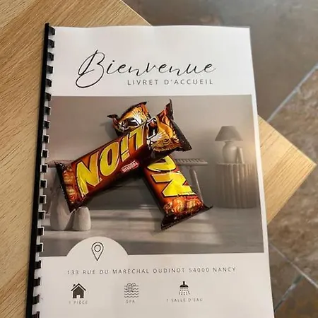 La Secrete Et Son Abrite Апартаменты Нанси