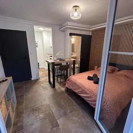 La Secrete Et Son Abrite Lejlighed Nancy